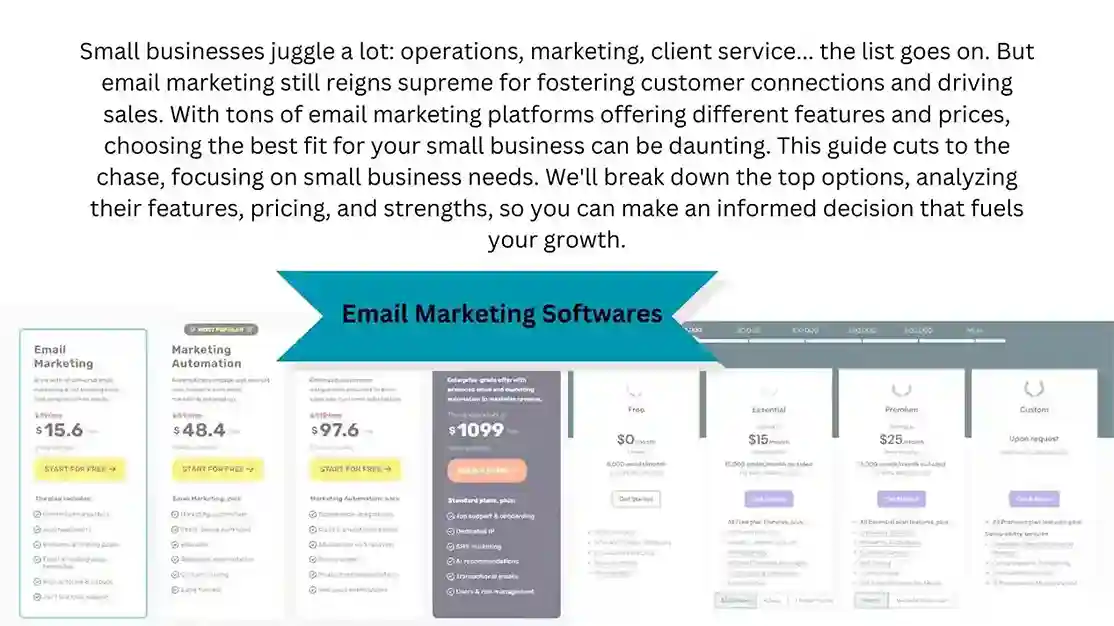 Best email marketing tool for small business (2024)