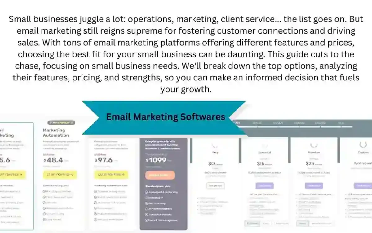 Best email marketing tool for small business (2024)